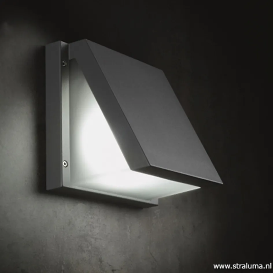 Buitenlamp wandlamp antraciet IP54>Straluma Online