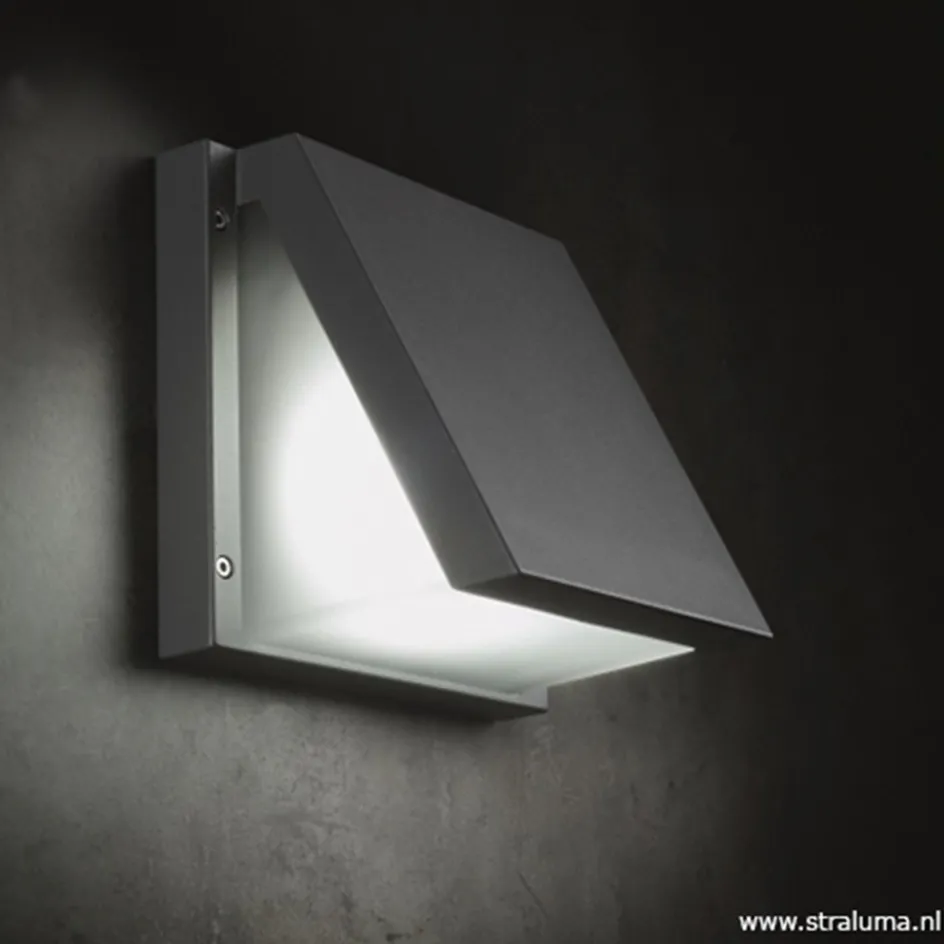 Buitenlamp wandlamp antraciet IP54>Straluma Online