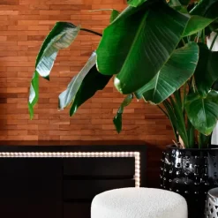 Calex Smart LED strip RGB + CCT 2 meter></noscript>Straluma Outlet