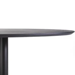 Eettafel ovaal zwart eiken met metalen poot 300x120 cm></noscript>Straluma New