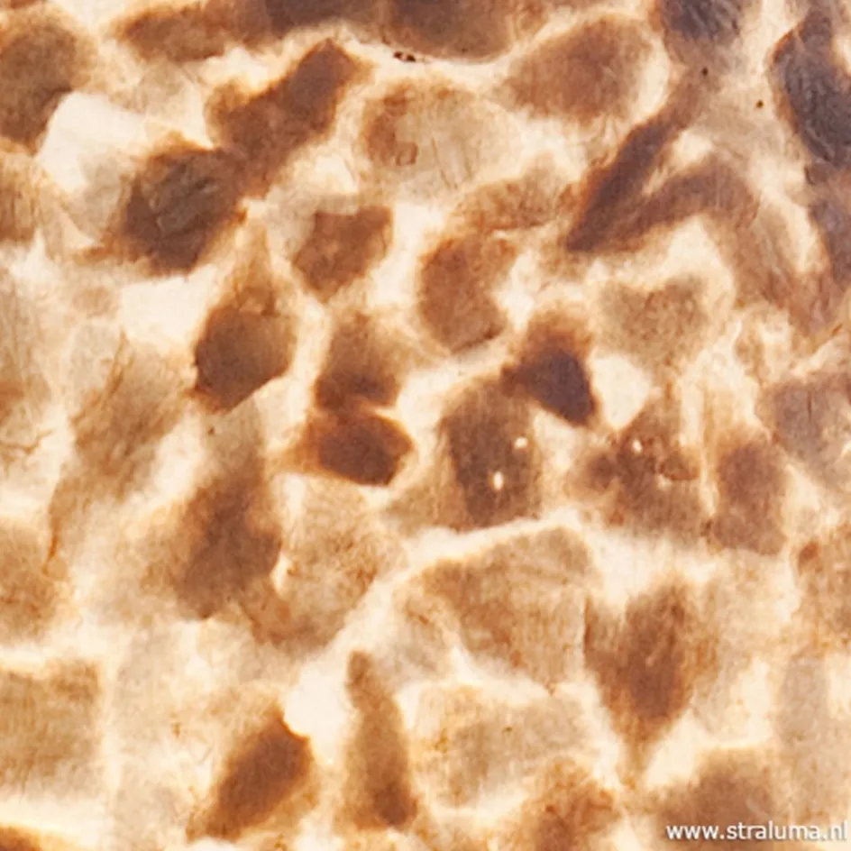 Grote schelpen hanglamp bruin goud>Straluma