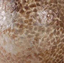 Ibiza vloerlamp schelpen zuil woonkamer></noscript>Straluma Sale