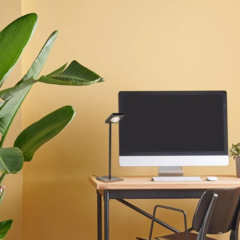 LED Tafellamp lens zwart verstelbaar>Straluma