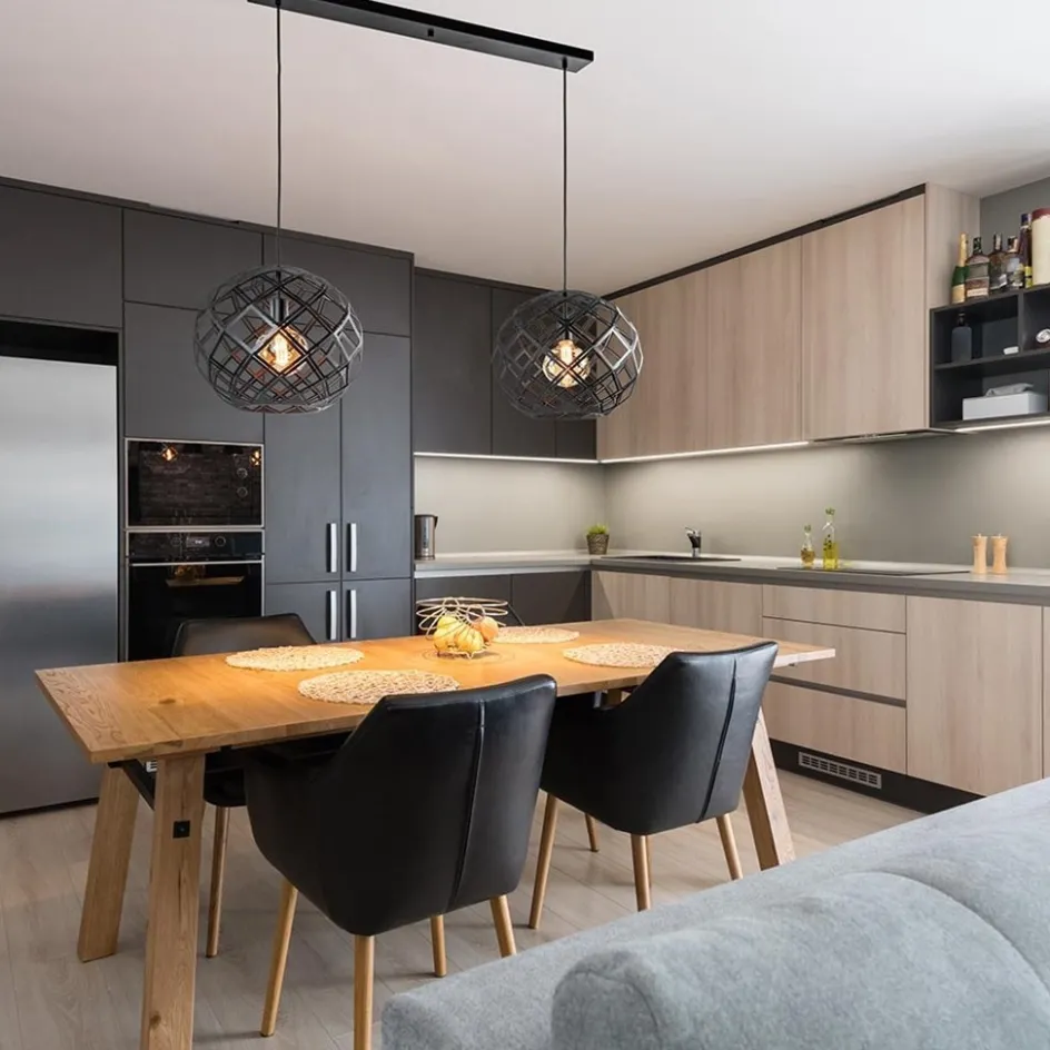 2-Lichts hanglamp Scandinavisch/landelijk mat zwart>Straluma Best