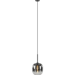 1-Lichts hanglamp zwart met smoke/helder glas>Straluma Best