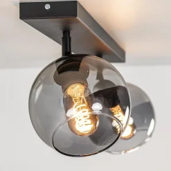 2-Lichts plafondlamp smoke glas met zwart></noscript>Straluma Sale