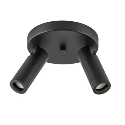 2-Lichts plafondspot mat zwart met gouden accent>Straluma Hot