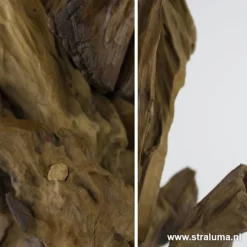 Light & Living lampvoet hout + zwart></noscript>Straluma Hot