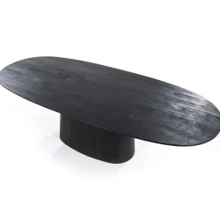 Ovale eettafel Aron 300x110 cm zwart mangohout></noscript>Straluma Online