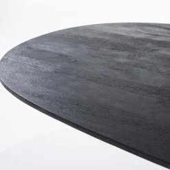 Ovale eettafel Aron 300x110 cm zwart mangohout></noscript>Straluma Online