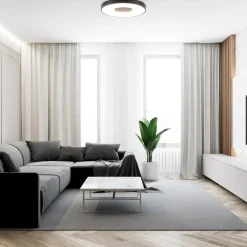 Plafondlamp Coin 65 zwart + remote><noscript><img width=