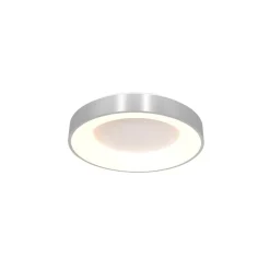 Plafondlamp Ringlede 30cm rvs led>Straluma Online