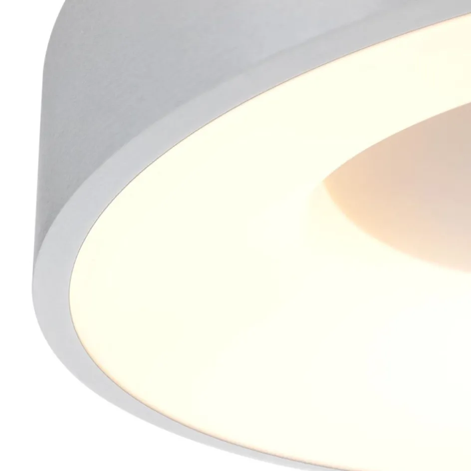 Plafondlamp Ringlede 30cm rvs led>Straluma Online