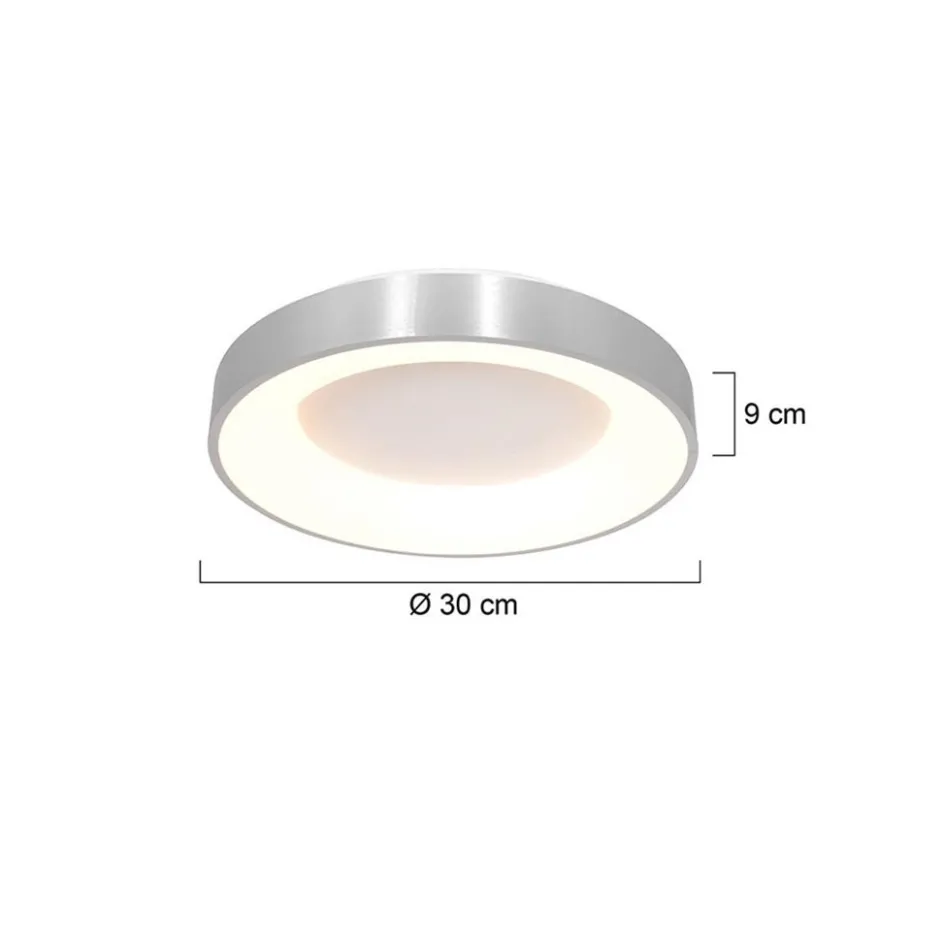 Plafondlamp Ringlede 30cm rvs led>Straluma Online
