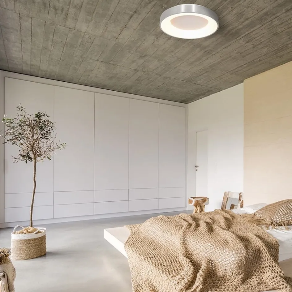 Plafondlamp Ringlede 30cm rvs led>Straluma Online