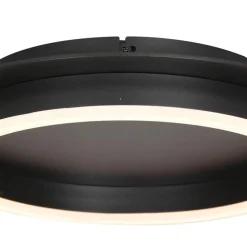 Plafondlamp Ringlux zwart></noscript>Straluma Best