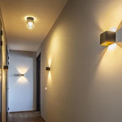 Plafondlamp Salerno zwart/smoke glas></noscript>Straluma