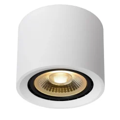 Plafondspot cilinder wit dim to warm>Straluma Outlet