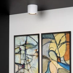 Plafondspot cilinder wit dim to warm></noscript>Straluma Outlet