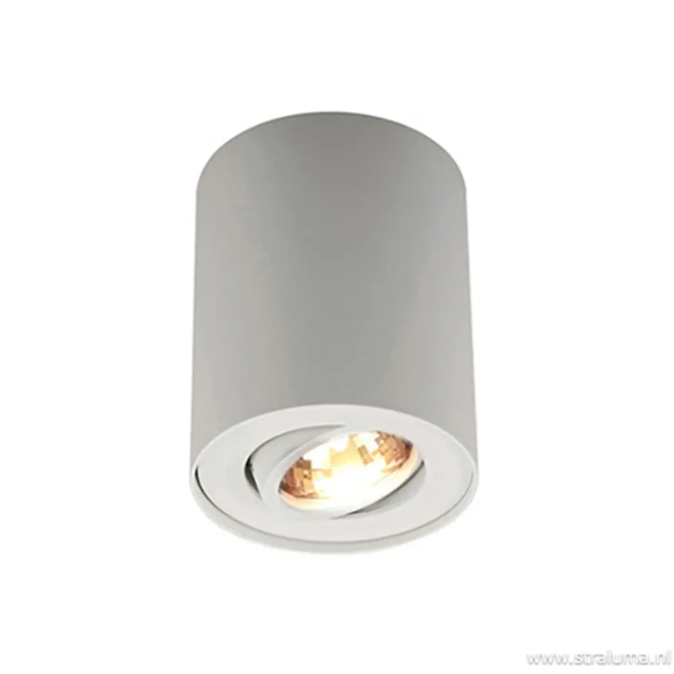 *Plafondspot cilinder wit verstelbaar>Straluma Clearance