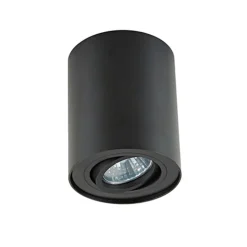 *Plafondspot cilinder zwart verstelbaar>Straluma Clearance