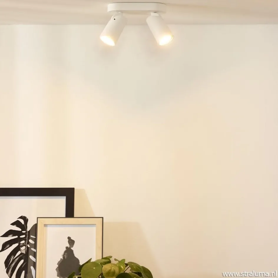 Plafondspot 2L wit incl.gu10 dtw>Straluma New