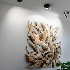 Plafondspot Nautilus zwart><noscript><img width=