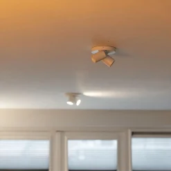 Plafondspot Oliver 2L rond tube wit gu10><noscript><img width=