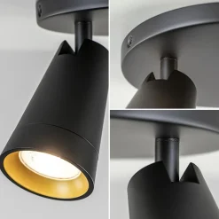 Plafondspot Petunia 2L rond zwart/goud><noscript><img width=