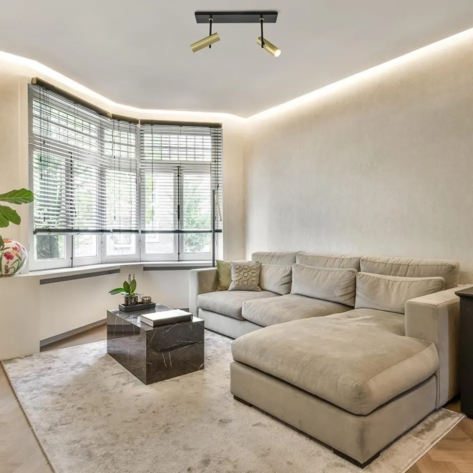 Plafondspot Trend 2L zwart/goud mini gu10>Straluma Best