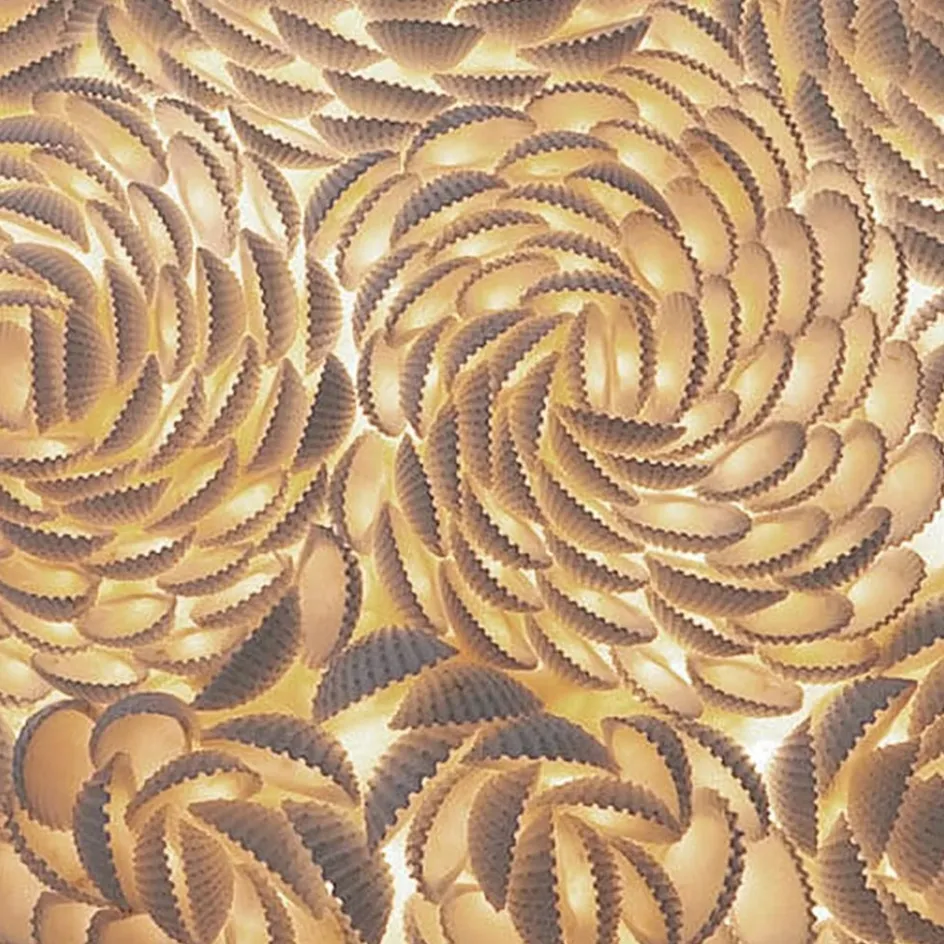 Romantische tafellamp schelpen rozen>Straluma Online