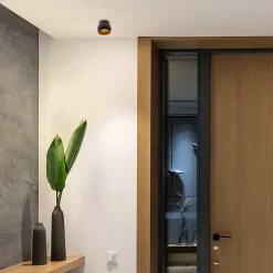 Ronde plafondspot zwart met goud GU10></noscript>Straluma