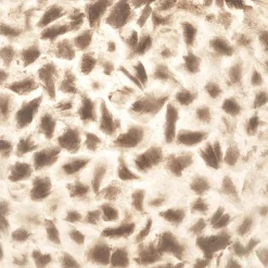 Ronde schelpen hanglamp wit/parelmoer 50 cm></noscript>Straluma Hot