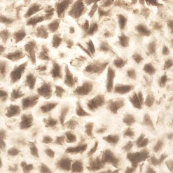 Ronde schelpen wandlamp wit/parelmoer 60 cm></noscript>Straluma