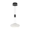 Smart hanglamp mat zwart met opaal glazen kap>Straluma Clearance
