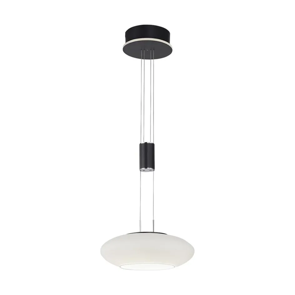 Smart hanglamp mat zwart met opaal glazen kap>Straluma Clearance