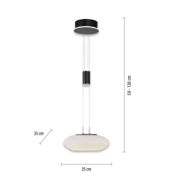Smart hanglamp mat zwart met opaal glazen kap><noscript><img width=