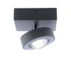 Smart plafondlamp met lens antraciet>Straluma New