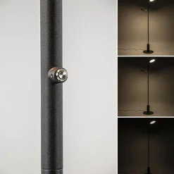 Vloerlamp 2-lichts zwart inclusief 3-standen dimbaar LED><noscript><img width=