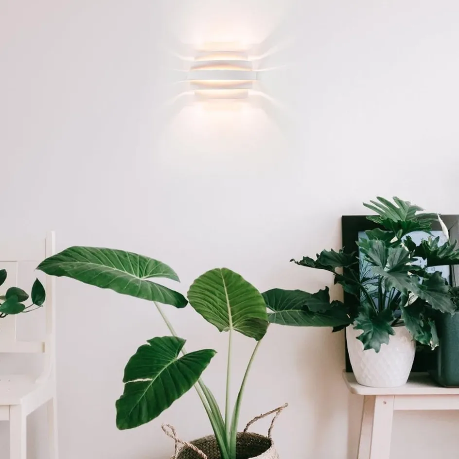 Wandlamp Scudo klein wit/goud>Straluma Best