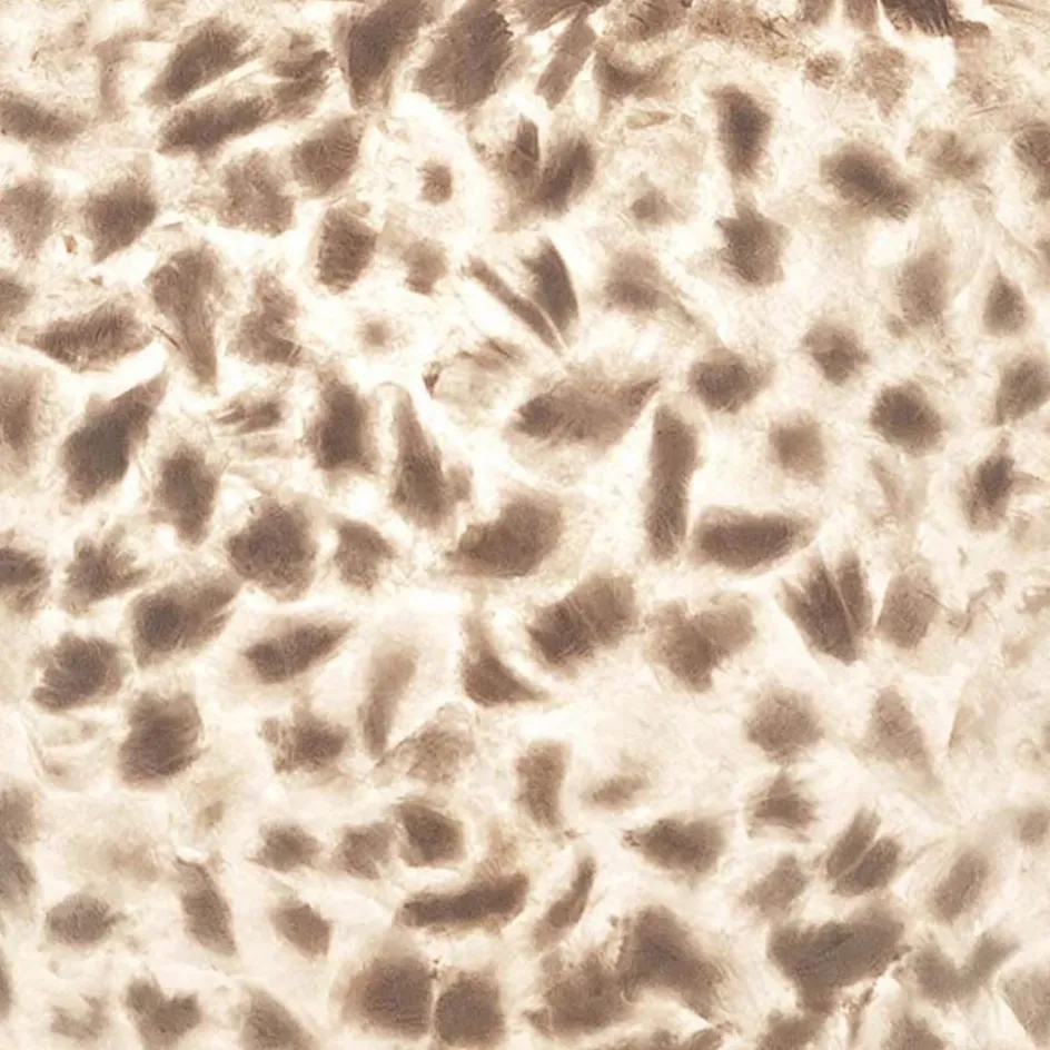 Zwarte driepoot tafellamp met witte schelpenkap>Straluma Hot